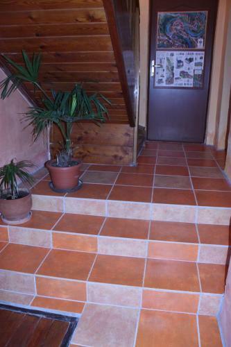 Hostal Privat U Parku