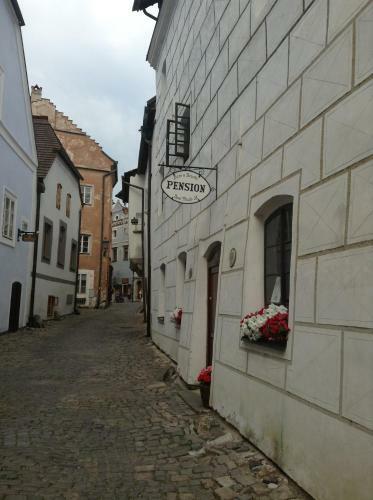 Hostal Penzion D?m U Barv�?e
