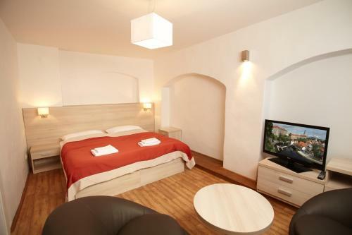 Apartamento Residence Muzeum Vltav�n?