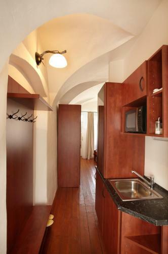 Apartamento Residence Muzeum Vltav�n?