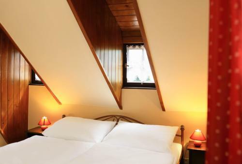 Hostal Pension Teddy