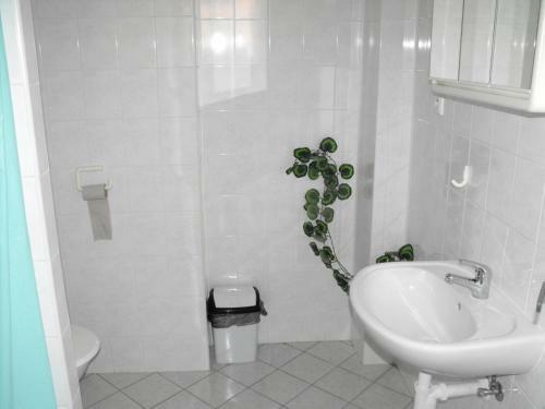 Hostal Pension U Soudu
