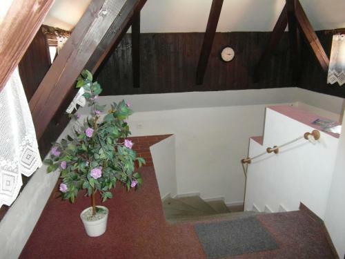Hostal Pension U Soudu