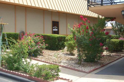 Motel Executive Inn And Suites Springdale
