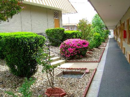 Motel Executive Inn And Suites Springdale