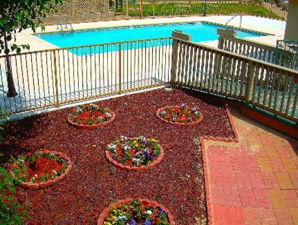 Motel Executive Inn And Suites Springdale