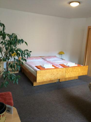 Hostal Pension Lionetta