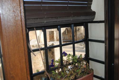 Apartamento Alojamientos La Azacaya