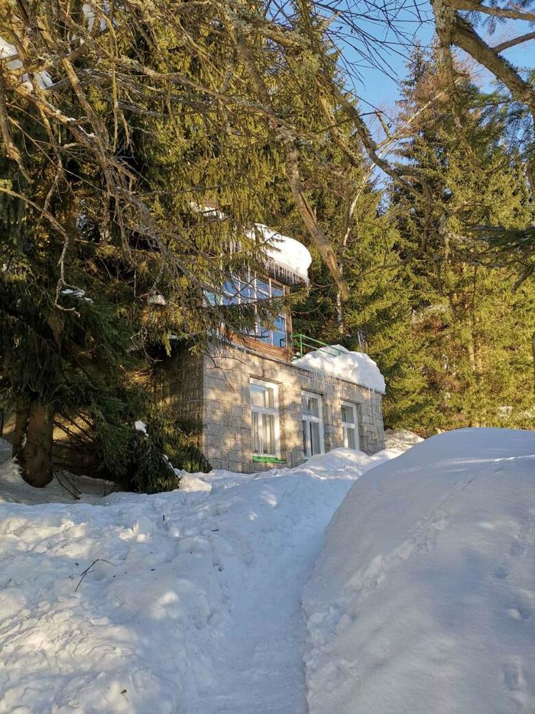 Holiday Home Harrachov 2