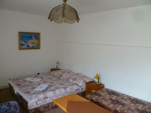 Hostal Pension Migr