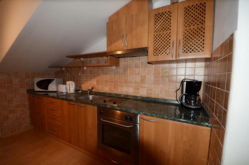 Apartement Hrebenka