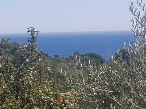 Hostal Ondina