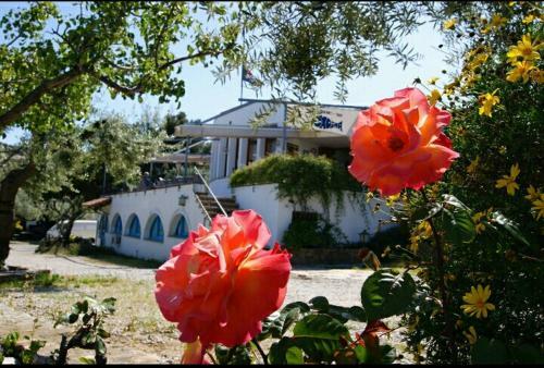 Hostal Ondina