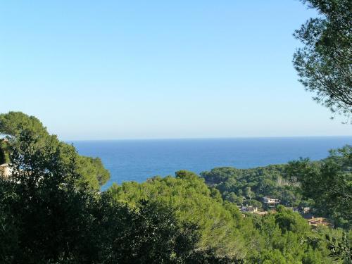 Apartment Es Raco II Begur