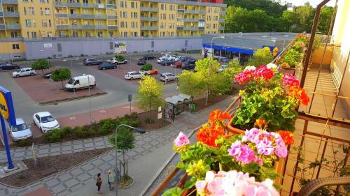 Vitezna 20 Apartment