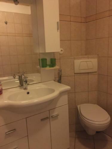 Vitezna 20 Apartment