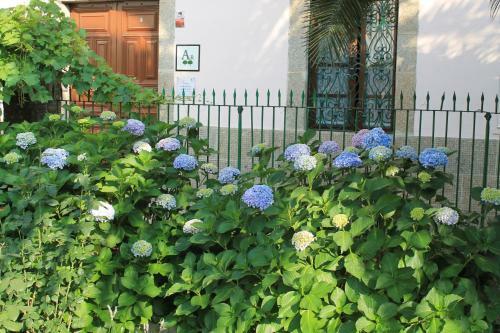 Apartamento Casa Jard�n De La Plata