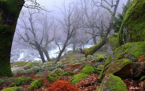 Agroturismo Tinao De Gredos