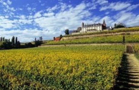 Hotel Chateau D'isenbourg