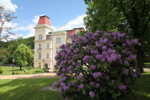 Hotel Bristol Vila Tereza