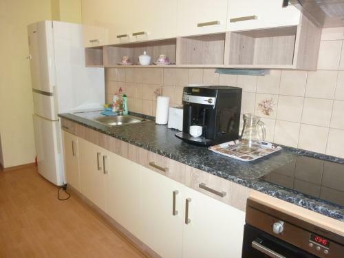 Apartment Karlovy Vary