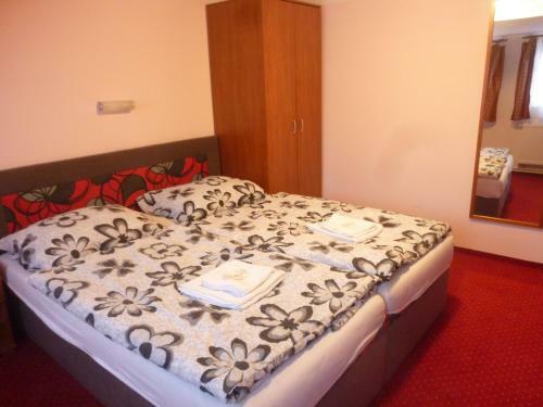 Apartment Karlovy Vary