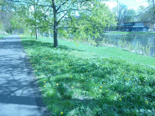 Apartment Karlovy Vary