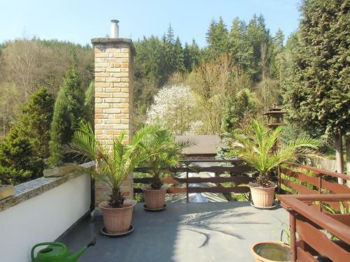 Hostal Pension U Kaktusu