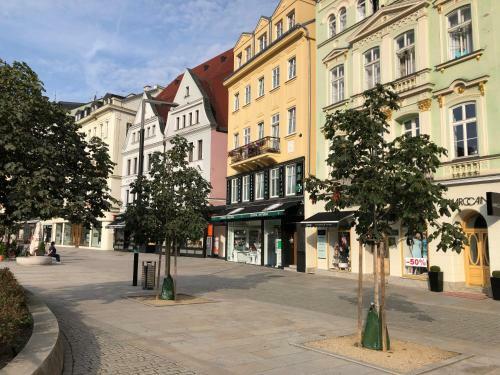 Apartm�n Orchidej U Vr�dla