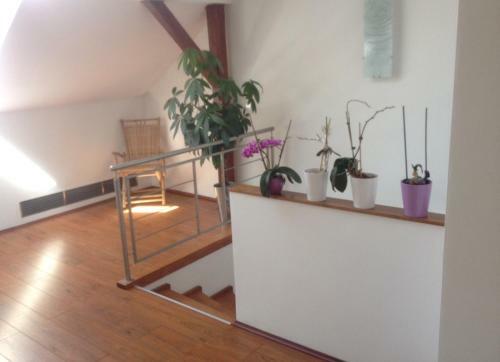 Apartm�n Jugosl�vsk�