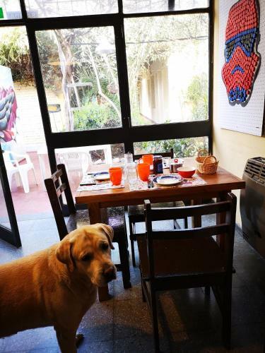 Sosahaus Hostel Mendoza