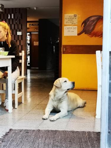 Sosahaus Hostel Mendoza