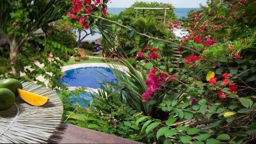 Hotel Pousada Jerib�