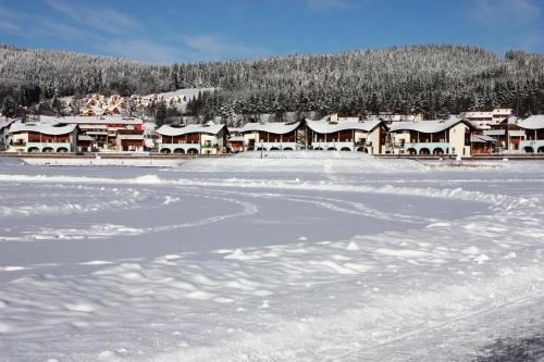 Apartamentos Lipno 35 - Lipno In