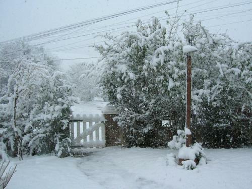 Bed & Breakfast La Soleada