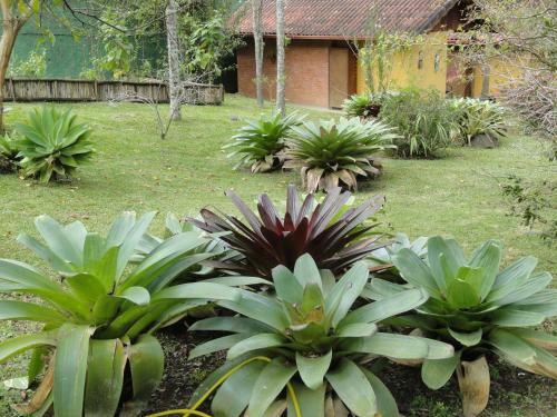 Bed & Breakfast Pousada Ch�cara Do Rio