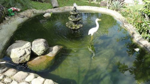 Bed & Breakfast Pousada Ch�cara Do Rio