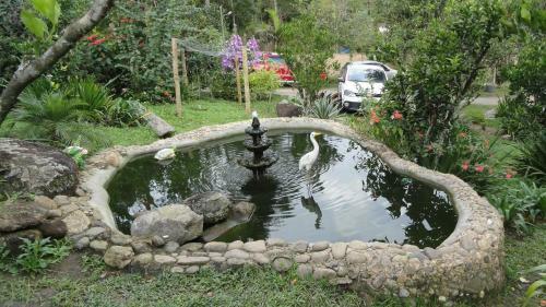 Bed & Breakfast Pousada Ch�cara Do Rio