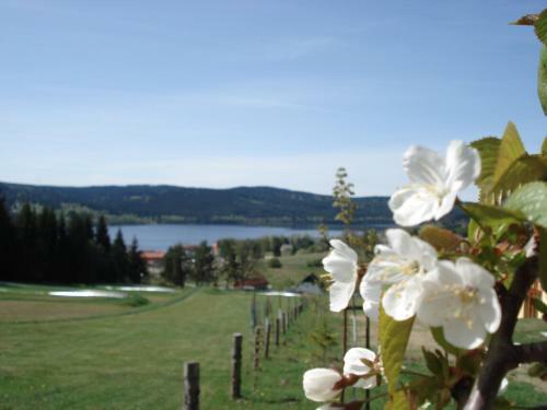 Villapark Lipno Dreams