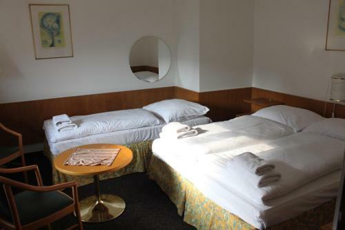 Hotel Sk�la