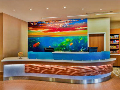 Hotel Springhill Suites By Marriott Anaheim Maingate