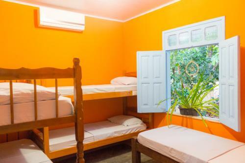 Hostel Ganga Zumba
