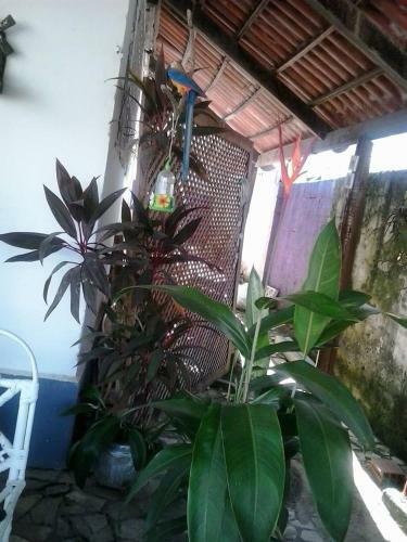 Hostel Margo