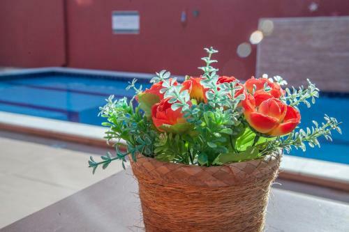 Bed & Breakfast Pousada Manh� Dourada