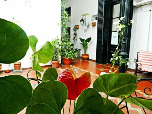 Hostal Posada De Las Nubes