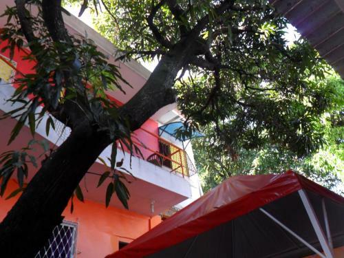Hostal Pousada E Albergue Casadehilton