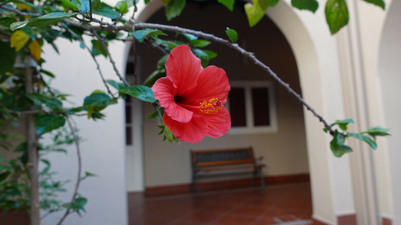 Hotel De La Linda
