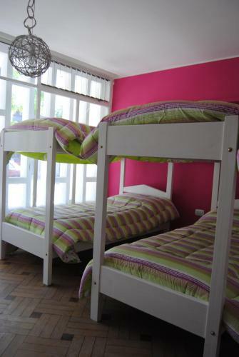 Coloria Hostel