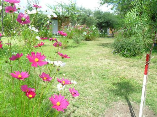 Lodge Caba�as Mandala