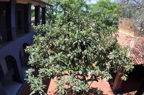 La Betulia Bed And Breakfast